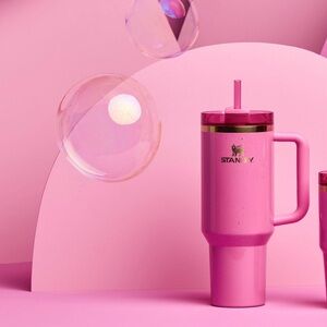 Stanley wicked 40 oz Glinda quencher 2024